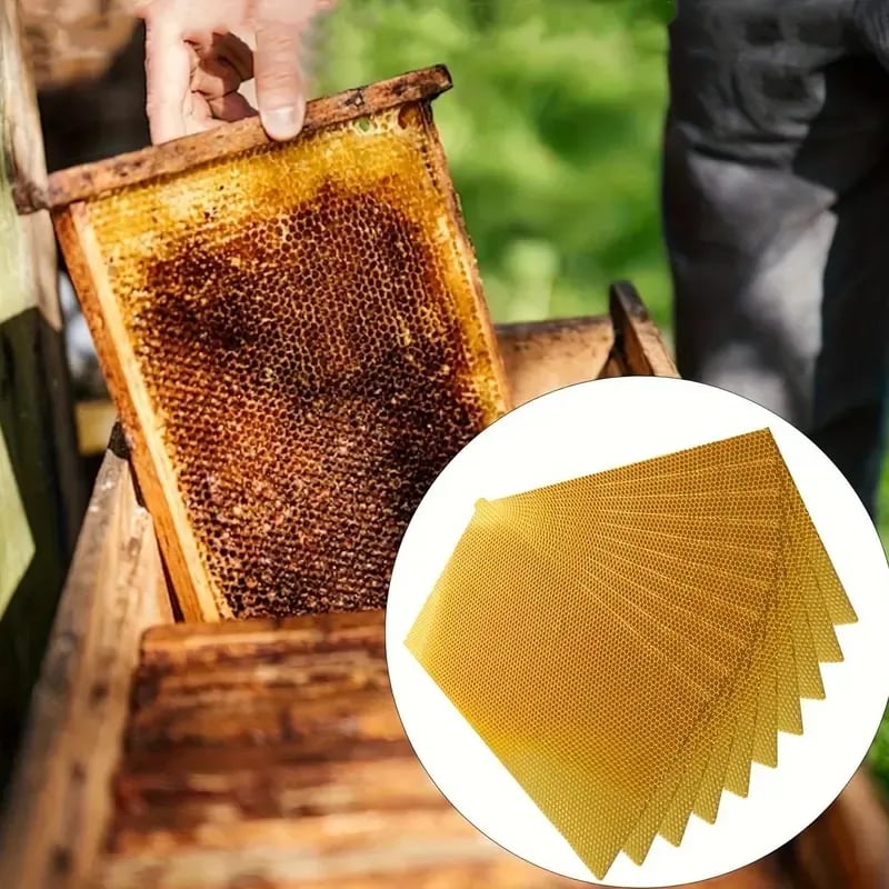 DIY Beeswax Candle Making Kit (12-Piece Set) – Create Your Own Cozy Glow!