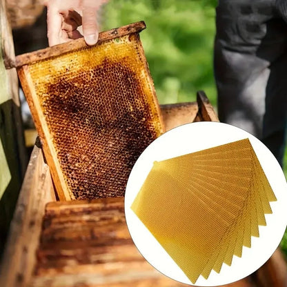 DIY Beeswax Candle Making Kit (12-Piece Set) – Create Your Own Cozy Glow!